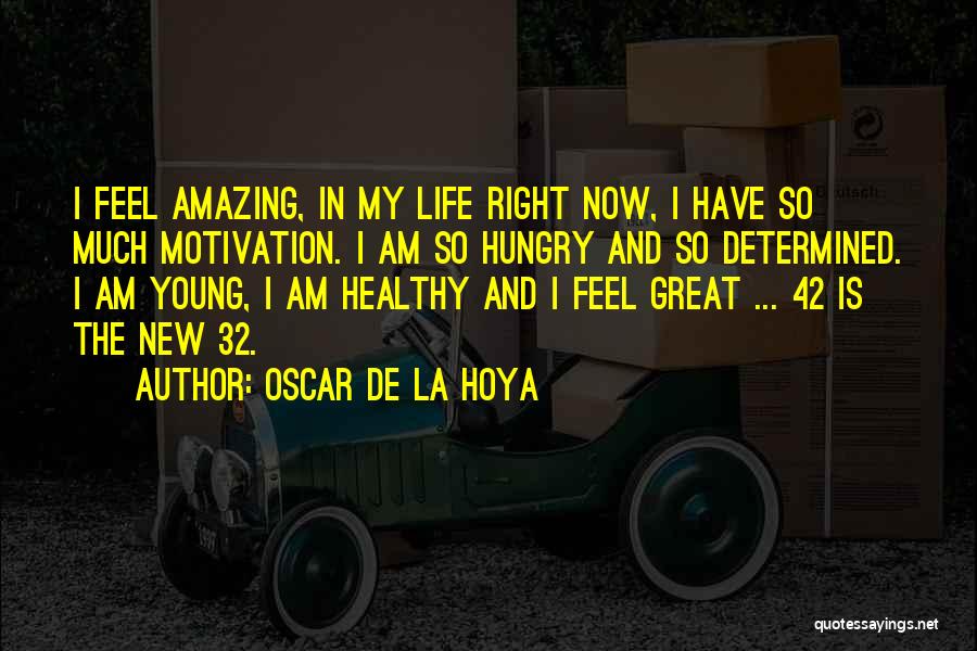 Hoya Quotes By Oscar De La Hoya