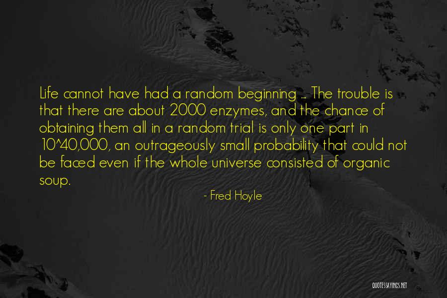 Hoyle Quotes By Fred Hoyle