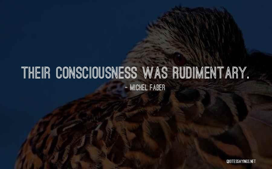 Hoztam Quotes By Michel Faber