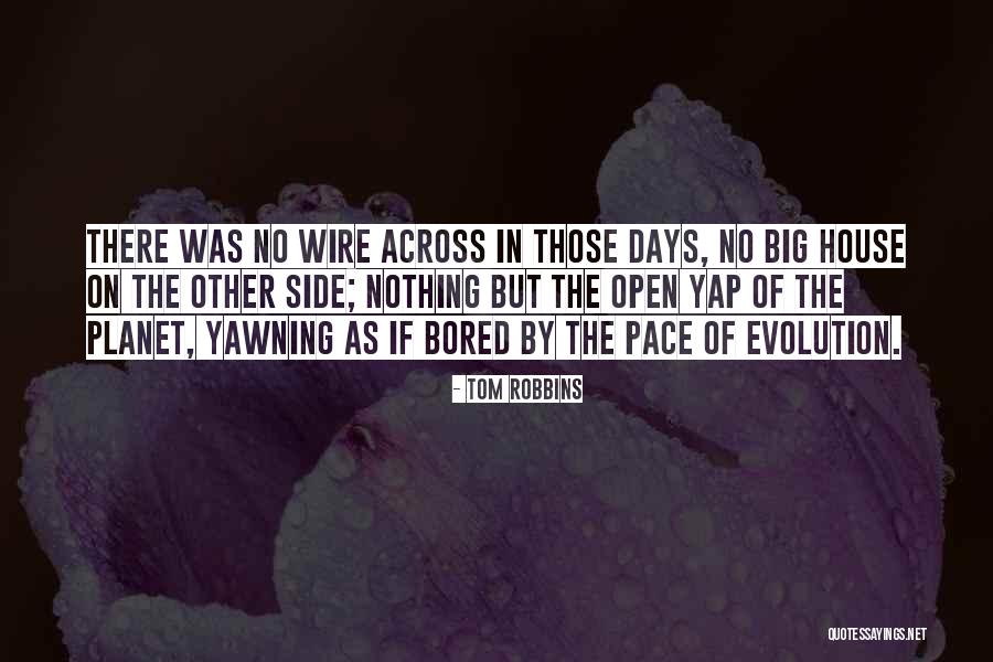 Hp Movie Quotes By Tom Robbins Hp Movie Quotes By Tom Robbins