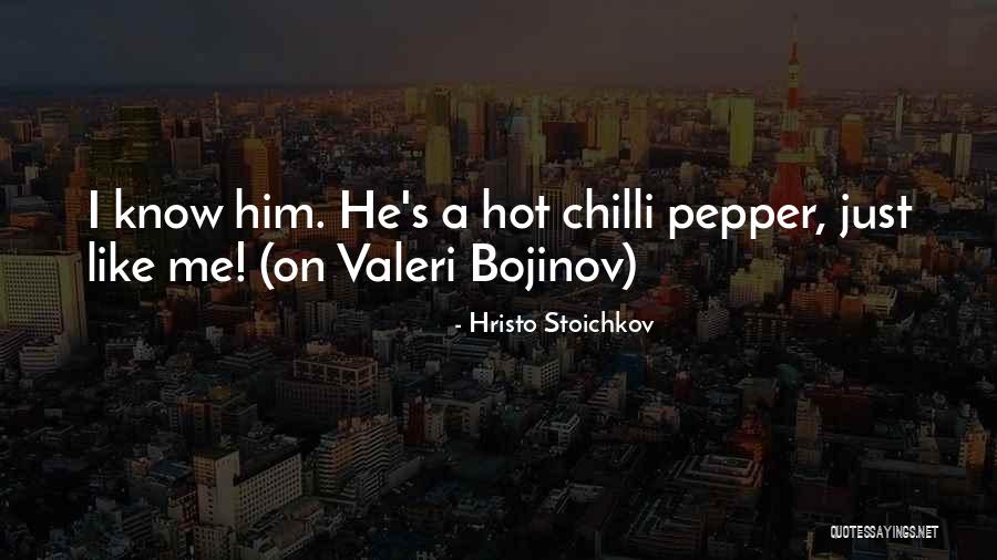 Hristo Quotes By Hristo Stoichkov Hristo Quotes By Hristo Stoichkov