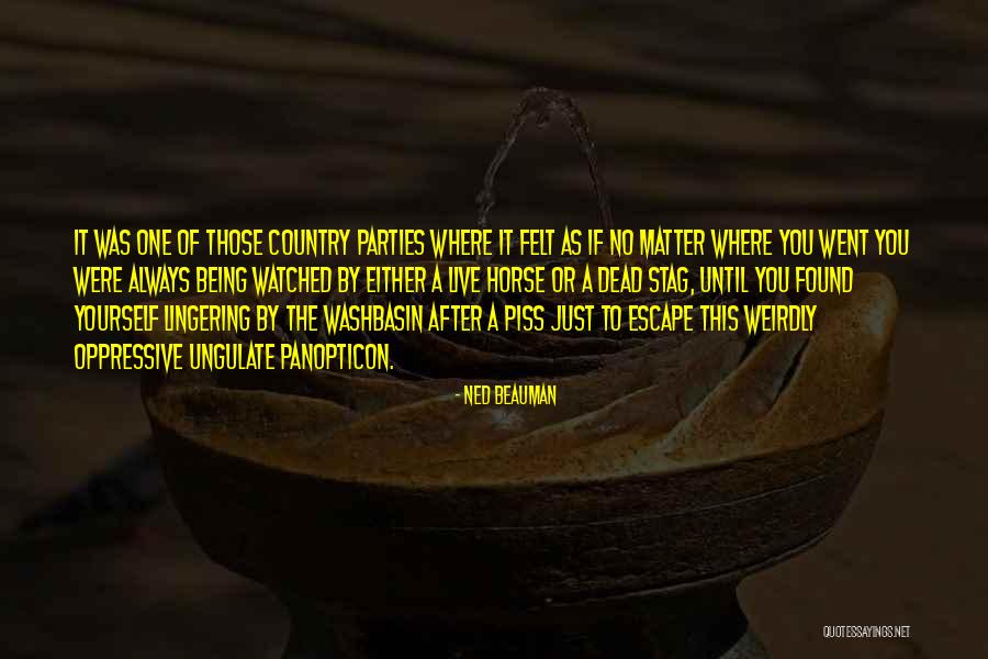 Hroe World Quotes By Ned Beauman Hroe World Quotes By Ned Beauman