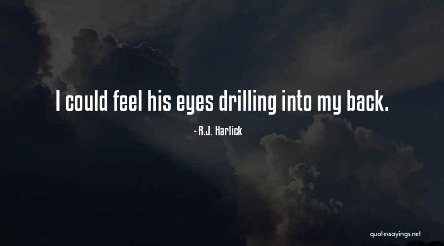 Hromosvod Quotes By R.J. Harlick