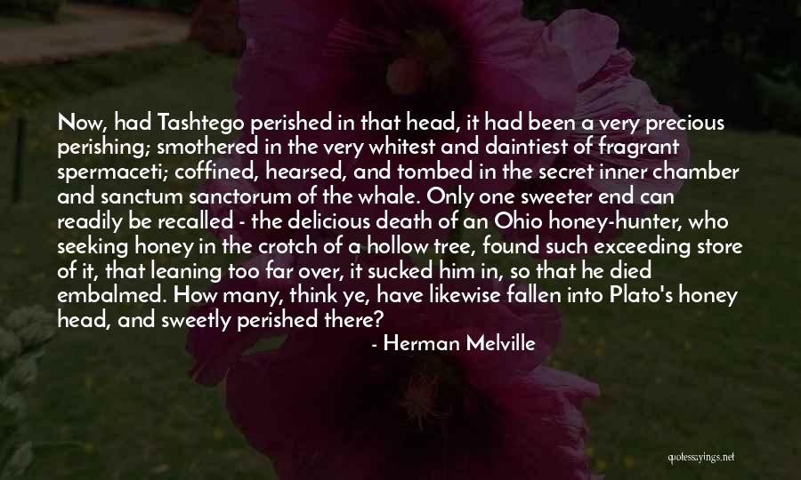 Hronis Inc Quotes By Herman Melville Hronis Inc Quotes By Herman Melville