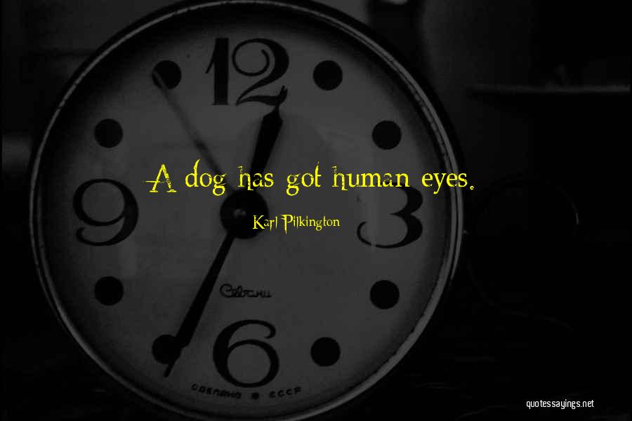 Hrpta Meeting Quotes By Karl Pilkington Hrpta Meeting Quotes By Karl Pilkington