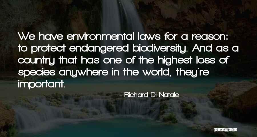Hrund Steingr Msd Ttir Quotes By Richard Di Natale Hrund Steingr Msd Ttir Quotes By Richard Di Natale