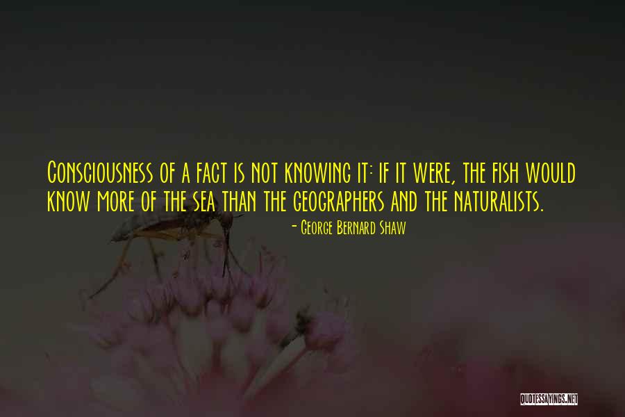 Hsien Yang Quotes By George Bernard Shaw Hsien Yang Quotes By George Bernard Shaw