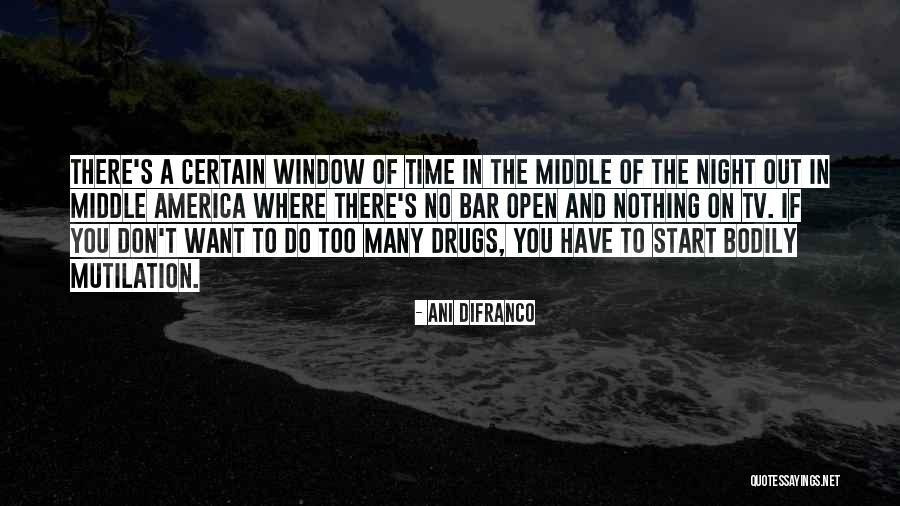 Hskyhan Quotes By Ani DiFranco Hskyhan Quotes By Ani DiFranco