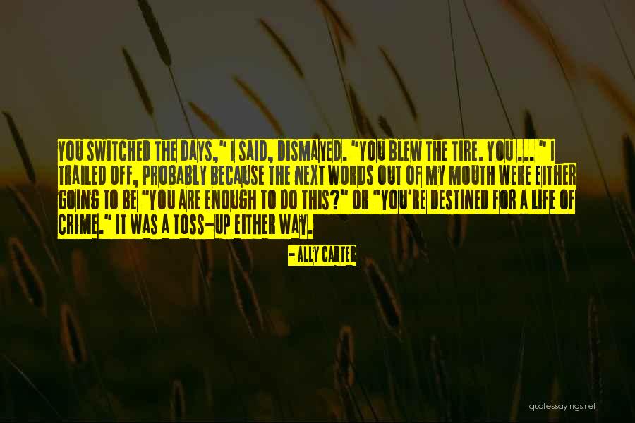 Hsse Quotes By Ally Carter Hsse Quotes By Ally Carter