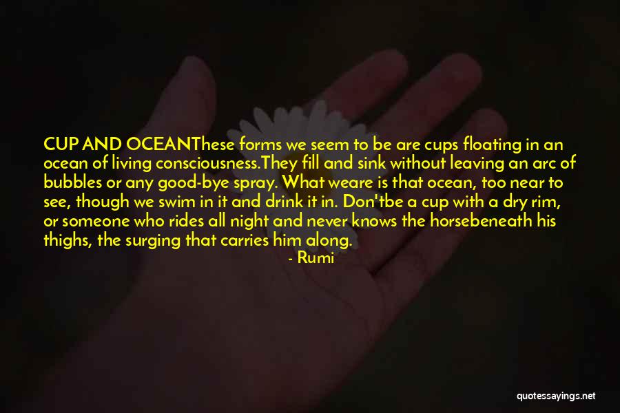 Html Text Input Quotes By Rumi Html Text Input Quotes By Rumi