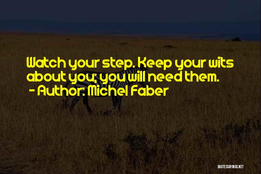 Huallpa Art Quotes By Michel Faber