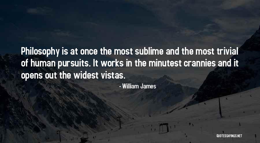 Huang Zi Tao Quotes By William James Huang Zi Tao Quotes By William James