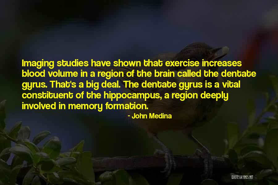 Huascaran Avalanche Quotes By John Medina Huascaran Avalanche Quotes By John Medina