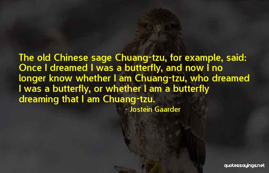 Hubbles Quotes By Jostein Gaarder Hubbles Quotes By Jostein Gaarder