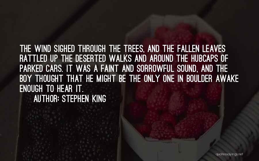 Hubcaps Quotes By Stephen King