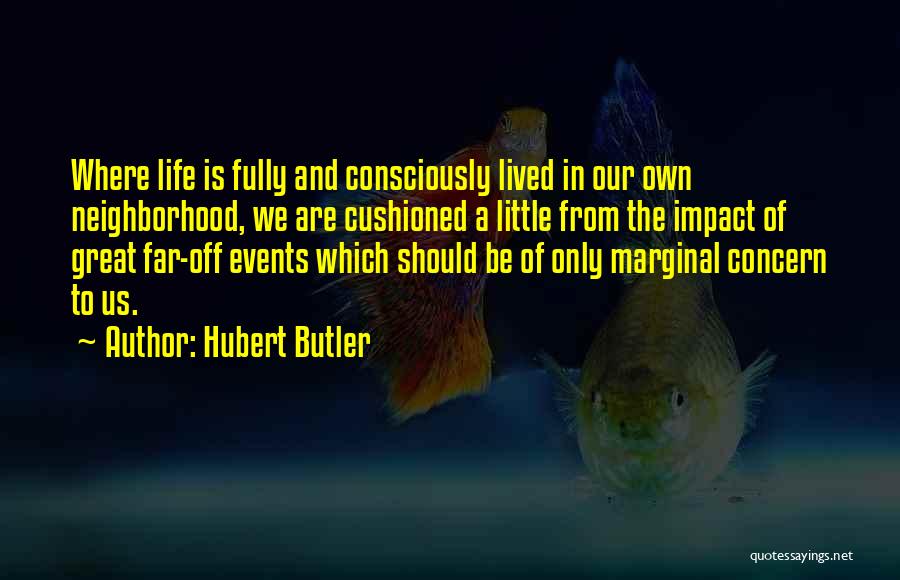 Hubert Butler Quotes 1003286