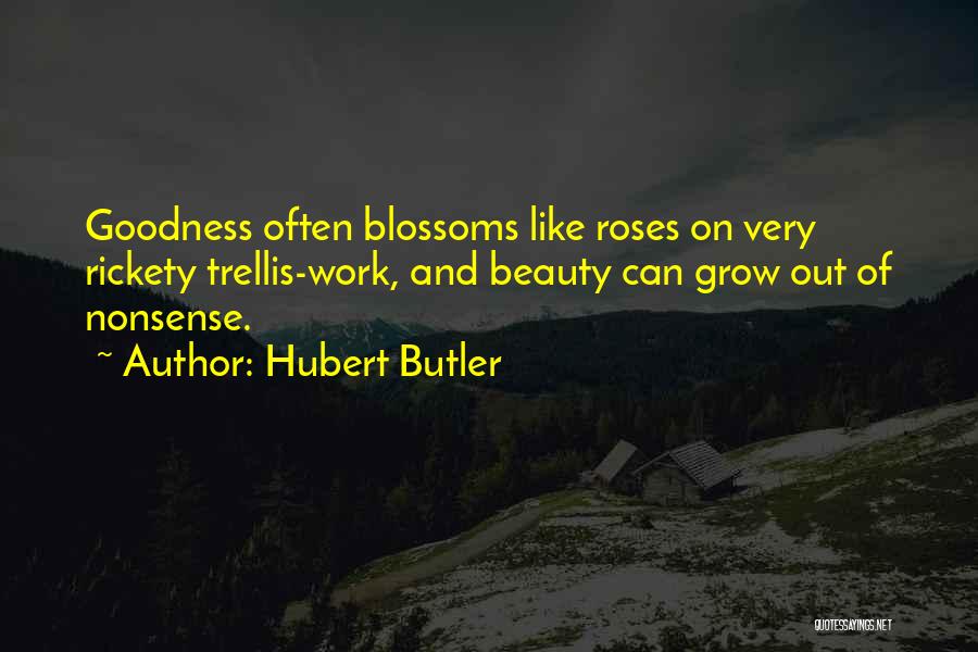 Hubert Butler Quotes 1119890