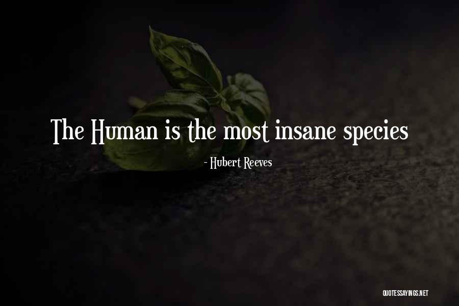 Hubert Quotes By Hubert Reeves Hubert Quotes By Hubert Reeves