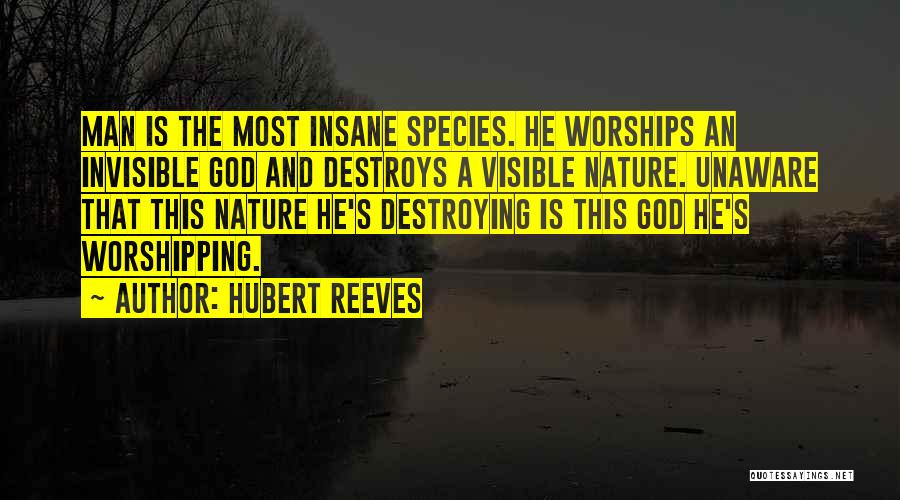 Hubert Reeves Quotes 2042062