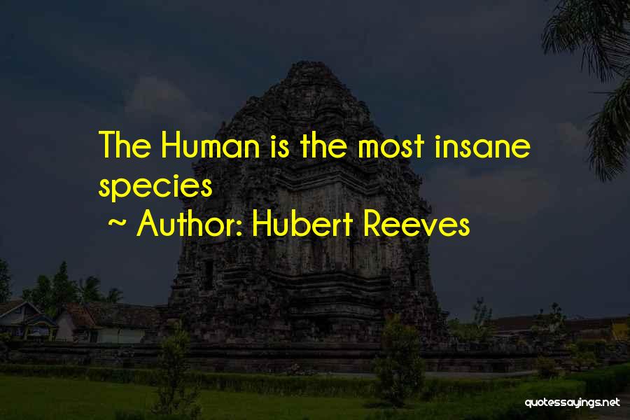 Hubert Reeves Quotes 907194