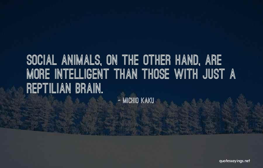 Huberts Claremont Quotes By Michio Kaku Huberts Claremont Quotes By Michio Kaku