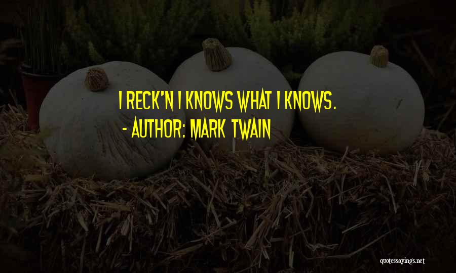 Huck And Jim Quotes By Mark Twain