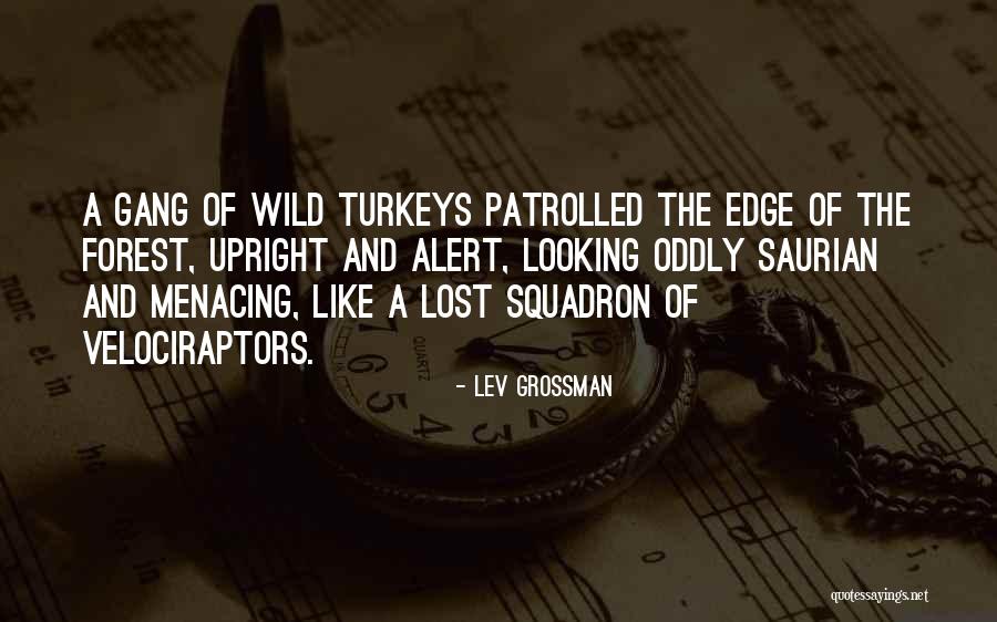 Huckabee Daughter Quotes By Lev Grossman Huckabee Daughter Quotes By Lev Grossman