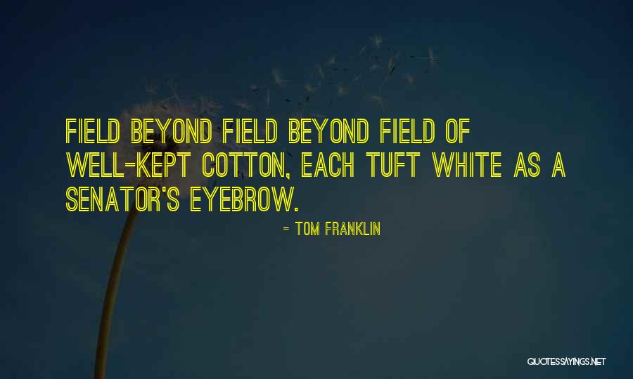 Huckleberry Finn Jim's Escape Quotes By Tom Franklin Huckleberry Finn Jim's Escape Quotes By Tom Franklin