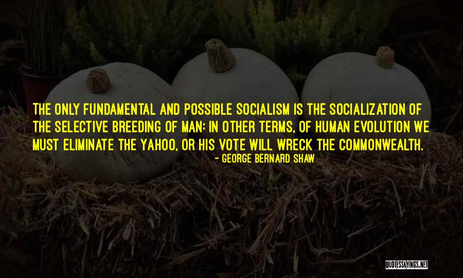 Hudes Laser Quotes By George Bernard Shaw Hudes Laser Quotes By George Bernard Shaw