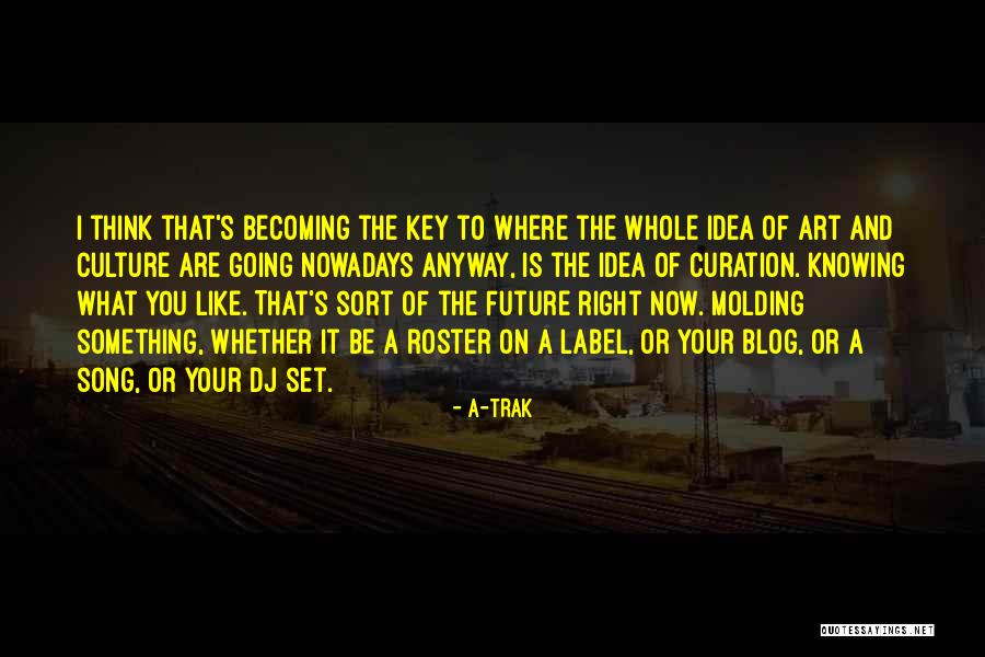 Hudis Shilsky Quotes By A-Trak Hudis Shilsky Quotes By A-Trak