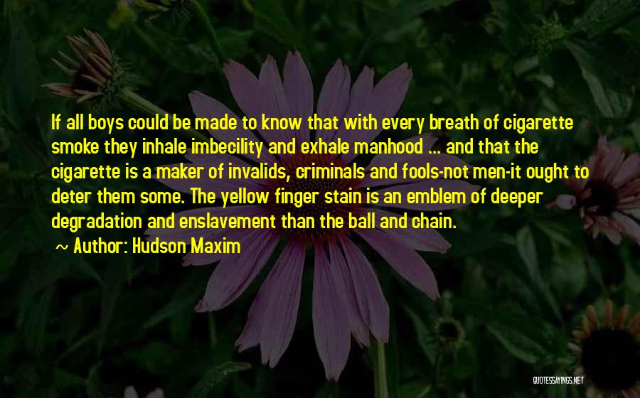 Hudson Maxim Quotes 545078