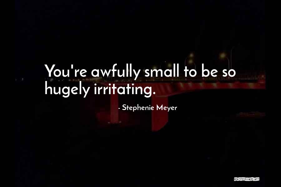 Huebsch Washing Quotes By Stephenie Meyer