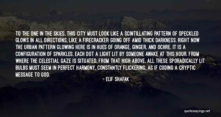 Hues Of Life Quotes By Elif Shafak