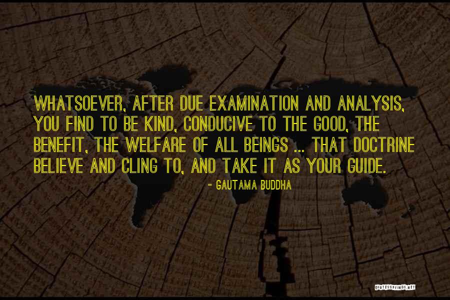 Huevones Anonimos Quotes By Gautama Buddha Huevones Anonimos Quotes By Gautama Buddha