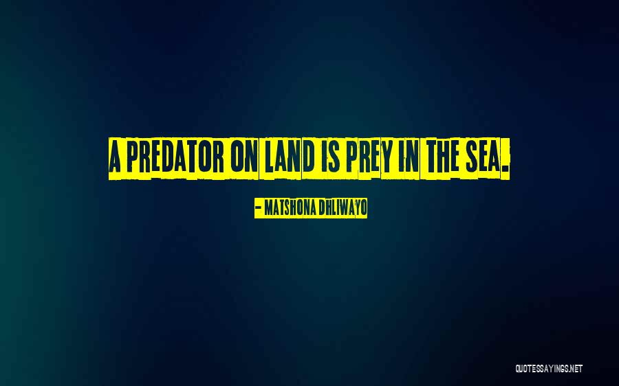 Huffington Post Movie Quotes By Matshona Dhliwayo Huffington Post Movie Quotes By Matshona Dhliwayo