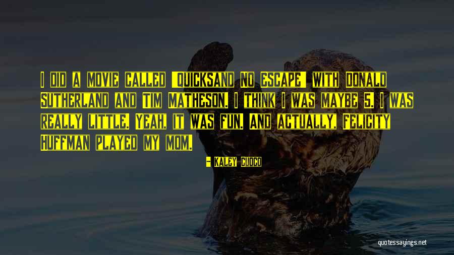 Huffman Quotes By Kaley Cuoco Huffman Quotes By Kaley Cuoco
