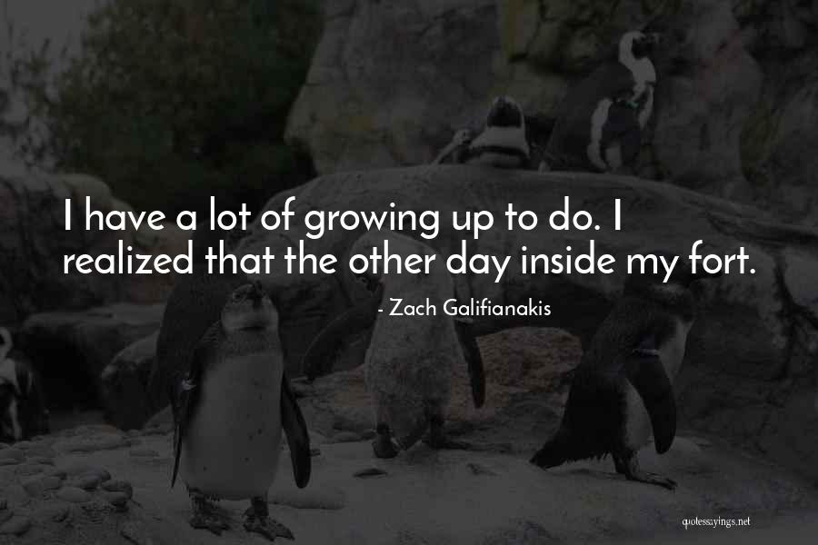 Hufnagles Quotes By Zach Galifianakis Hufnagles Quotes By Zach Galifianakis