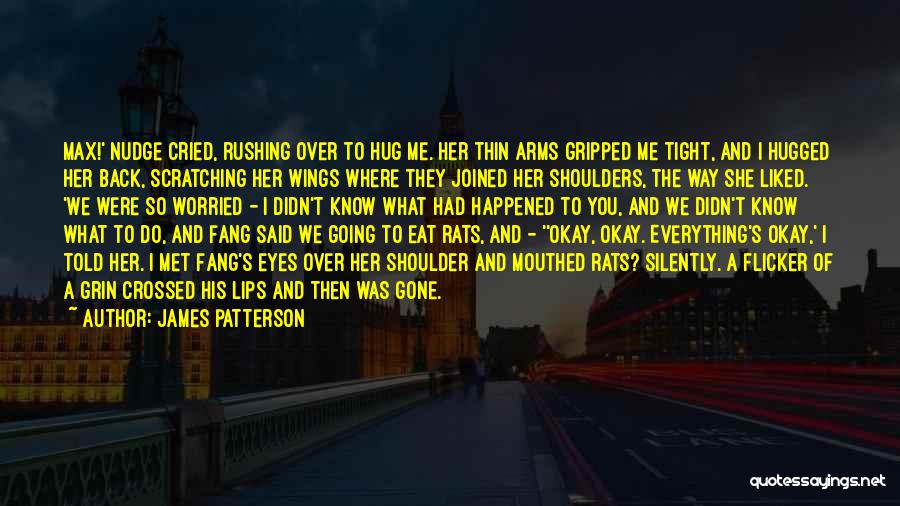 Hug Me Tight Quotes By James Patterson