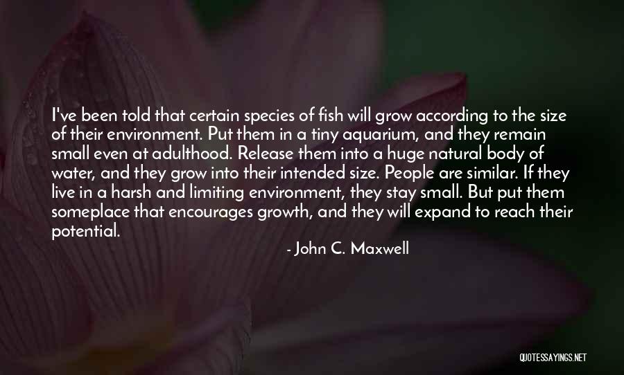 Huge And Natural Quotes By John C. Maxwell Huge And Natural Quotes By John C. Maxwell