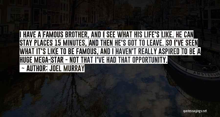 Huge Opportunity Quotes By Joel Murray