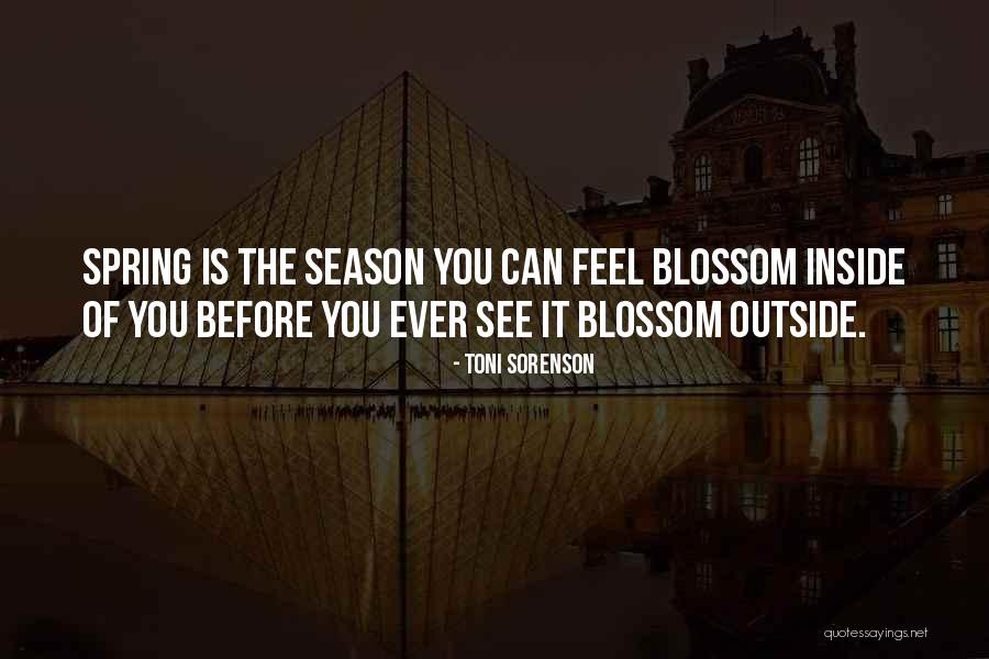 Huggard Obiol Quotes By Toni Sorenson Huggard Obiol Quotes By Toni Sorenson