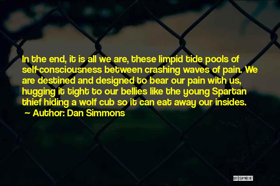 Hugging A Bear Quotes By Dan Simmons