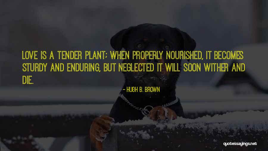Hugh B. Brown Quotes 332497 Hugh B. Brown Quotes 332497