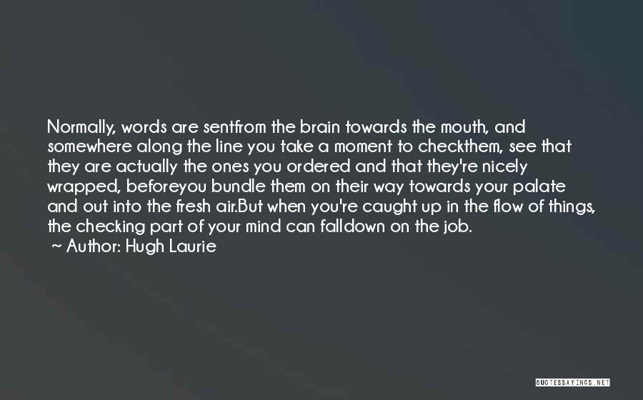 Hugh Laurie Quotes 1922665