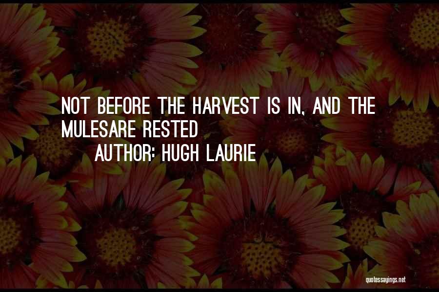 Hugh Laurie Quotes 2178037