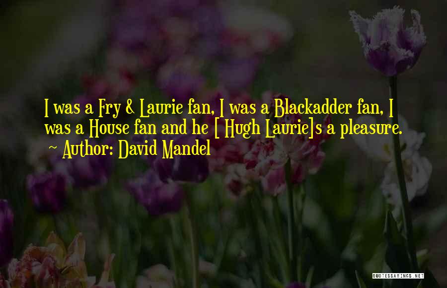 Hugh Laurie's Quotes By David Mandel