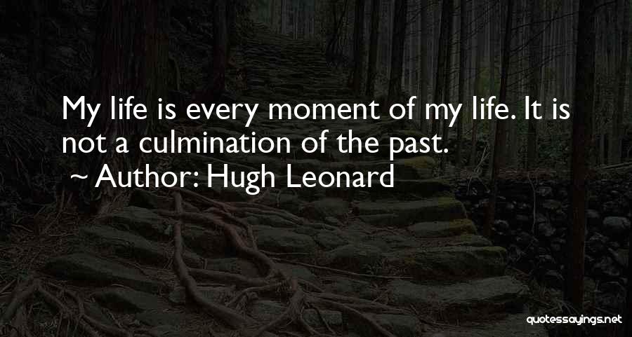 Hugh Leonard Quotes 1014226