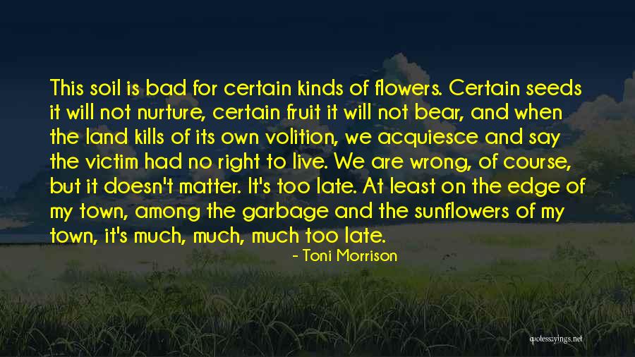 Hughesdental Group Quotes By Toni Morrison Hughesdental Group Quotes By Toni Morrison