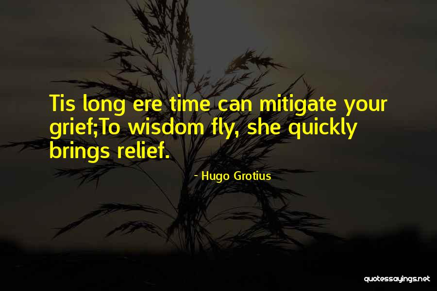 Hugo Grotius Quotes 1031056