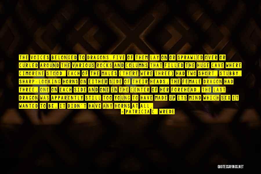 Huies Chow Quotes By Patricia C. Wrede Huies Chow Quotes By Patricia C. Wrede